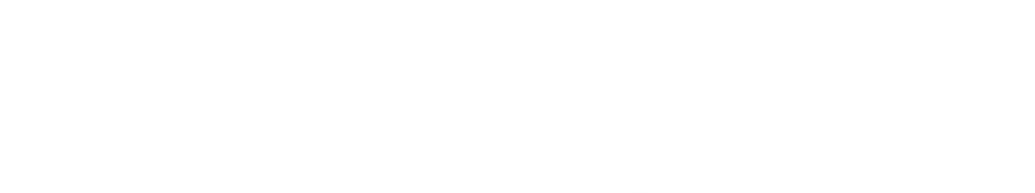 SHINDII,LLC