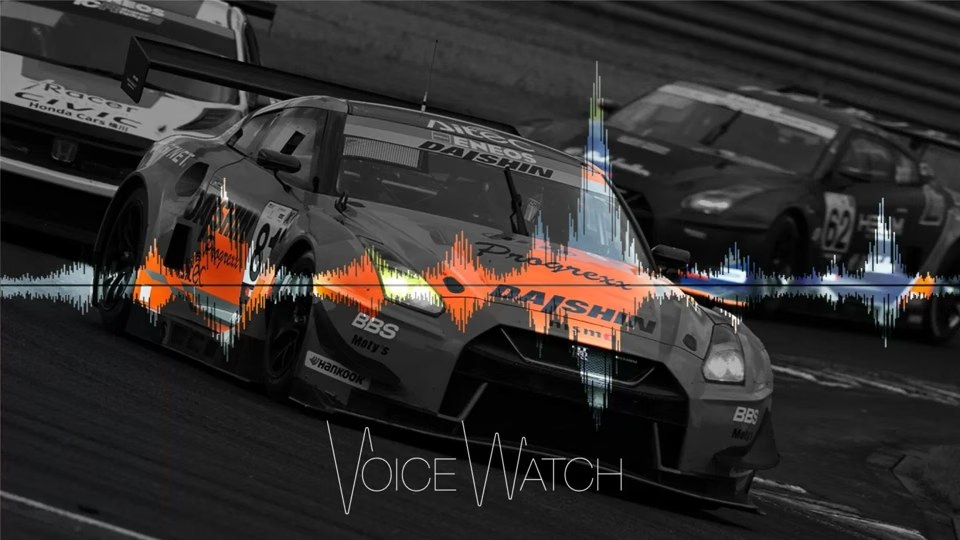 Voice Watch